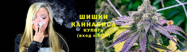 spice Грязовец