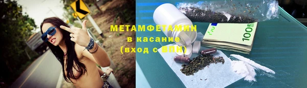 гидра Надым