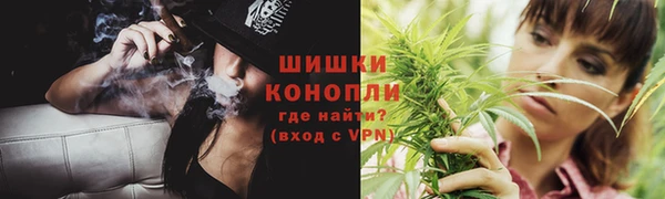 гидра Надым