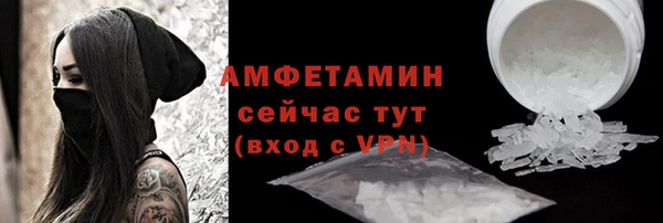 гидра Надым
