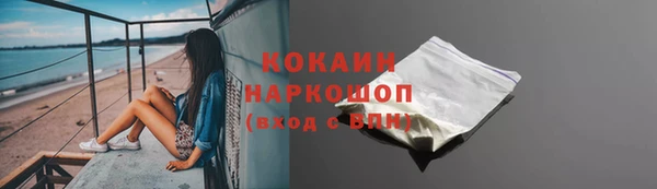 гидра Надым