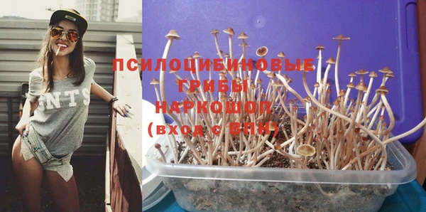 прущий лед Наволоки
