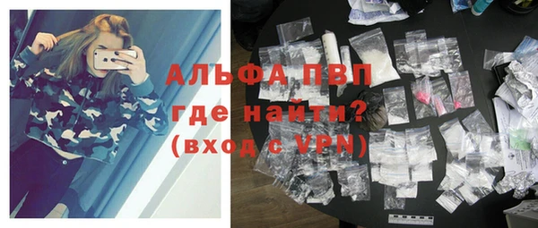 гидра Надым