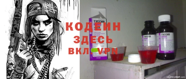 гидра Надым